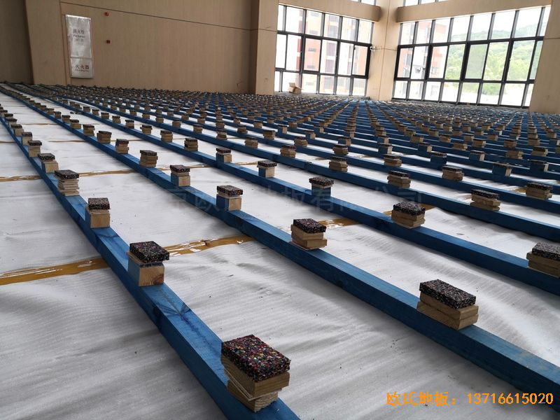 �V����혴���FӢ�ЌW�w��ľ�ذ尲�b����