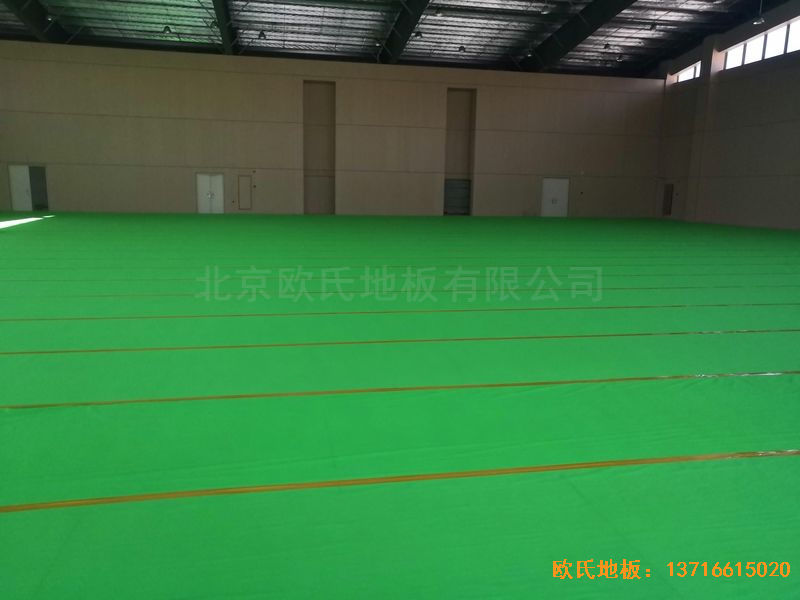 �V����혴���FӢ�ЌW�w��ľ�ذ尲�b����