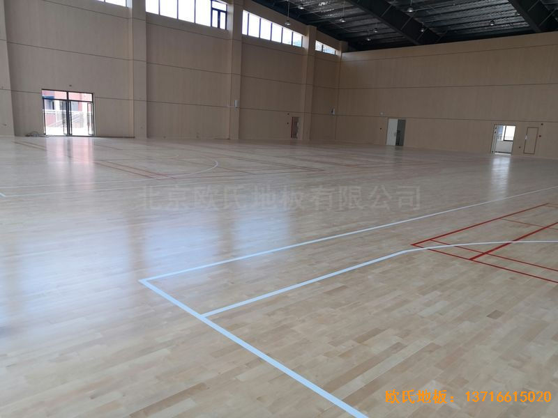 �V����혴���FӢ�ЌW�w��ľ�ذ尲�b����