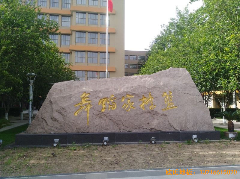 �����赸�W(xu��)Ժ�\(y��n)��(d��ng)�ذ���O(sh��)����