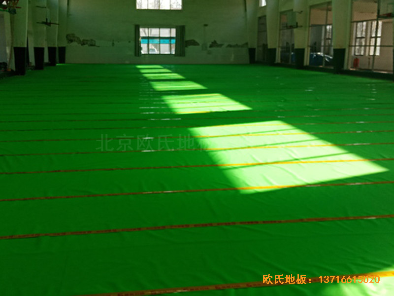 �ӱ������w���W(xu��)���@���^�\��ľ�ذ���O(sh��)����2