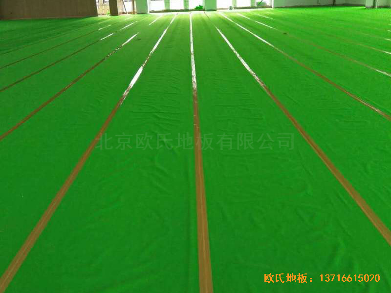 ����������W(xu��)�@���^�w��ľ�ذ尲�b����2