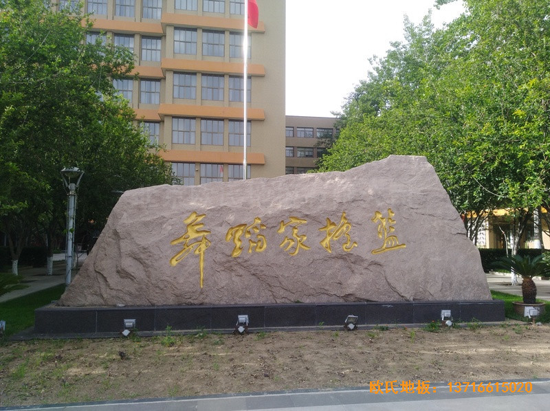 �����赸�W(xu��)Ժ�\(y��n)��(d��ng)�ذ尲�b����
