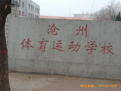 �ӱ������w���W(xu��)���@���^�\��ľ�ذ���O(sh��)����
