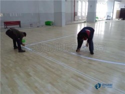 �����\��ľ�ذ�z�y���